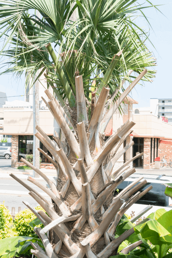 Vacation Planning for Families