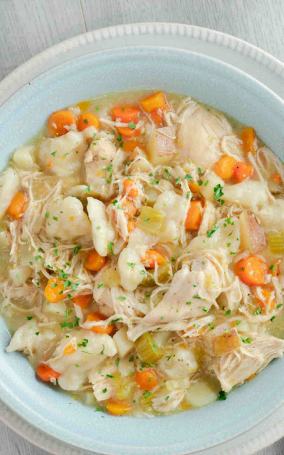 Close up of Instant Pot Chicken and Dumplings in a bowl.