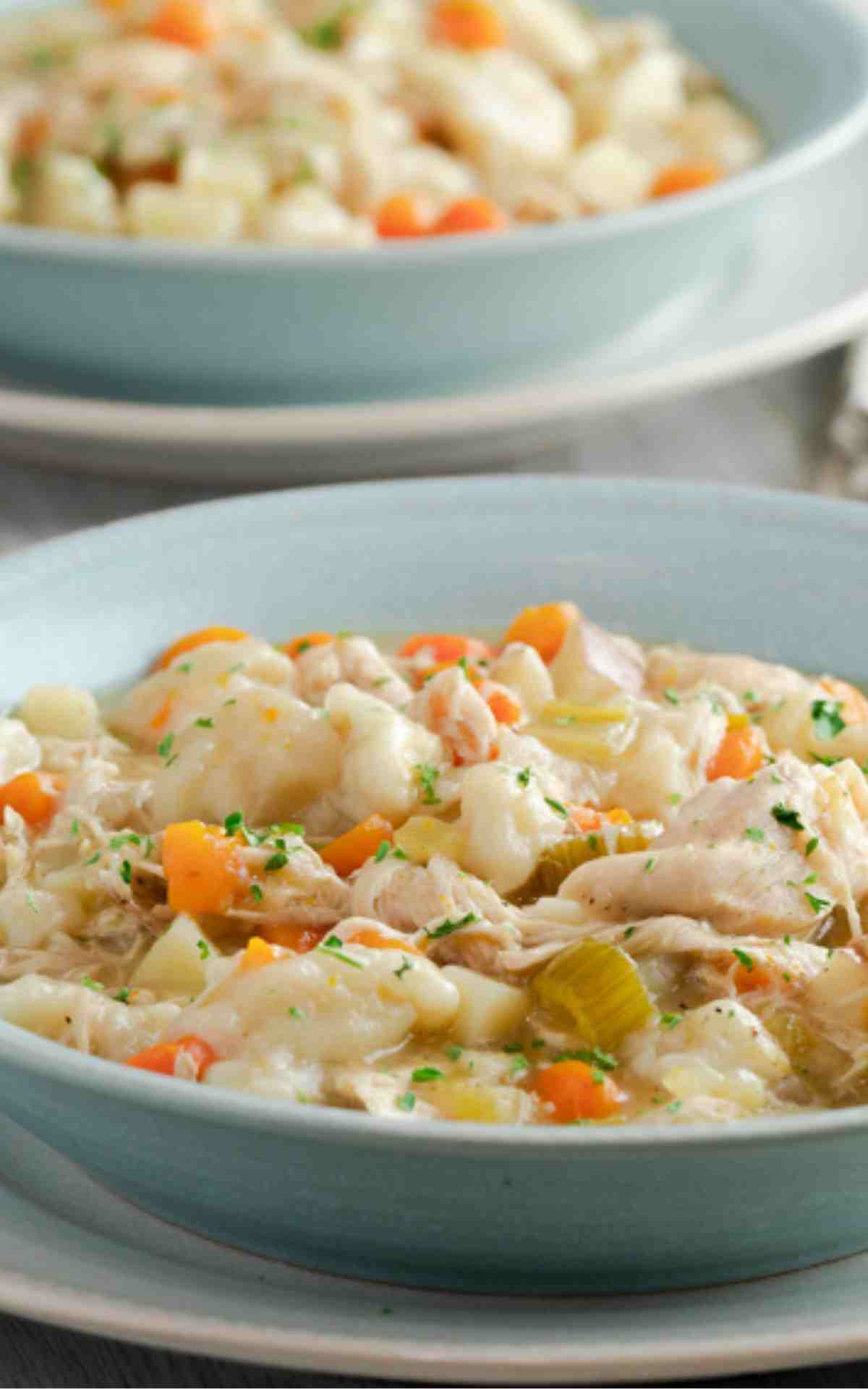 Instant Pot Chicken and Dumplings in a bowl.