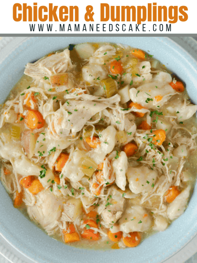 cropped-Instant-Pot-Chicken-Dumplings-3-1.png