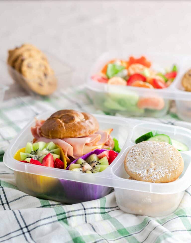 Packed Lunch Ideas for School