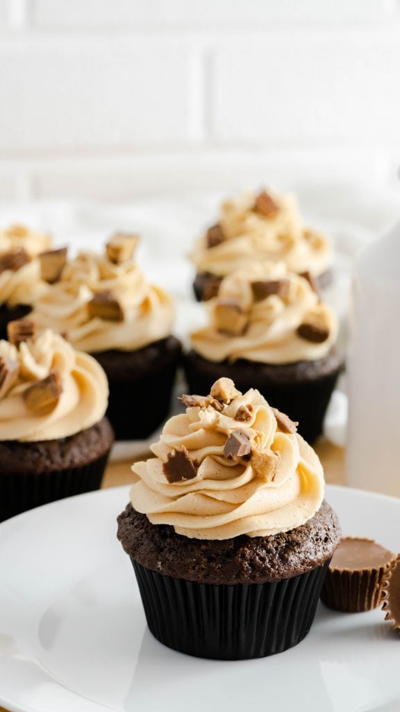 Chocolate cupcakes with peanut butter buttercream frosting on a white plate.