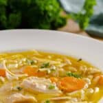 instant pot chicken noodle soup