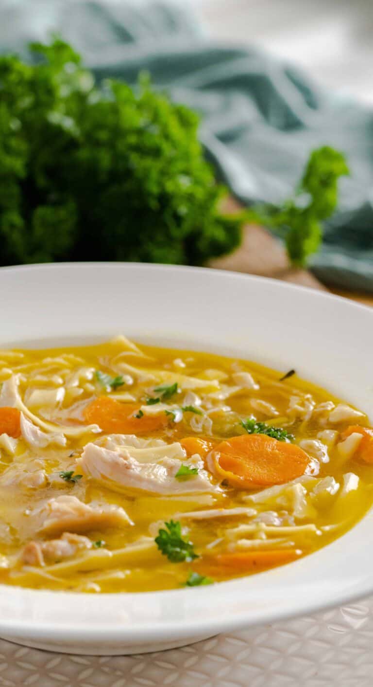 instant pot chicken noodle soup
