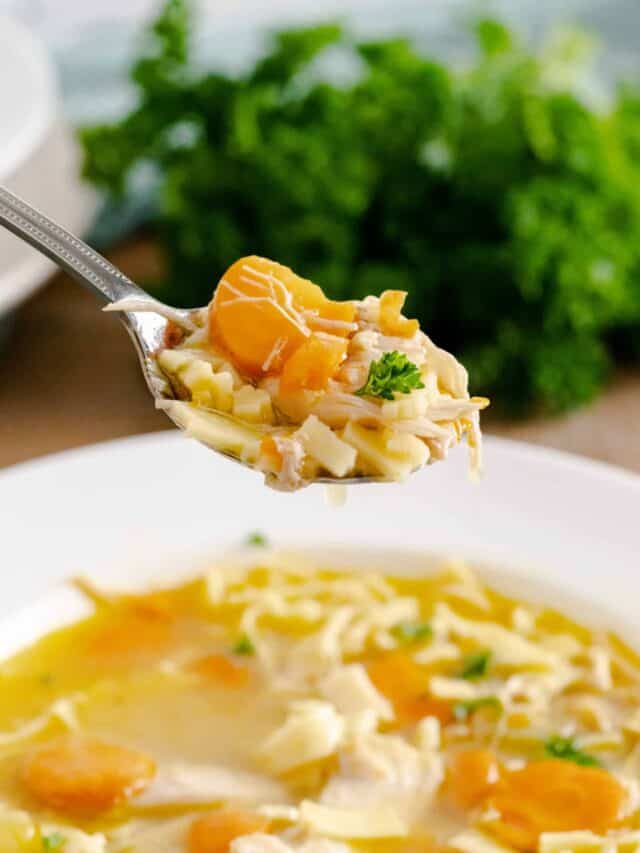 spoonful of chicken noodle soup