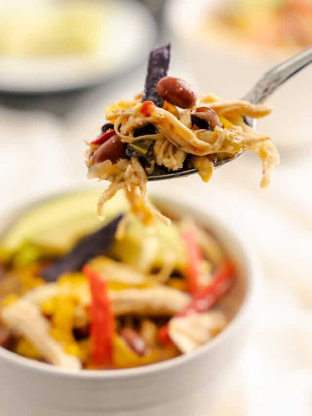 spoonful of chicken tortilla soup