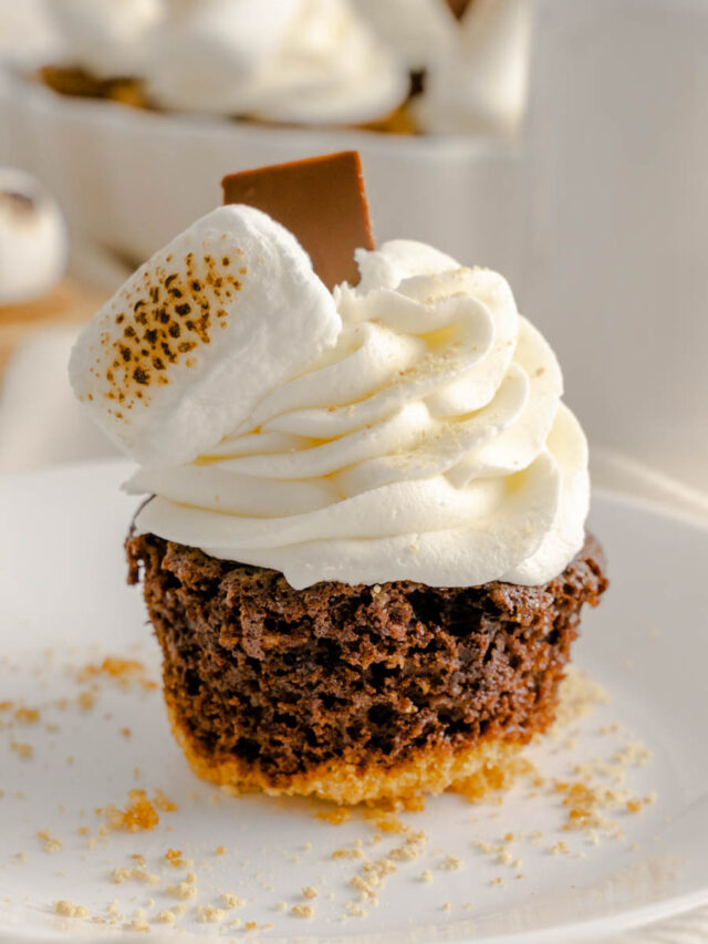 S’mores Cupcakes Story