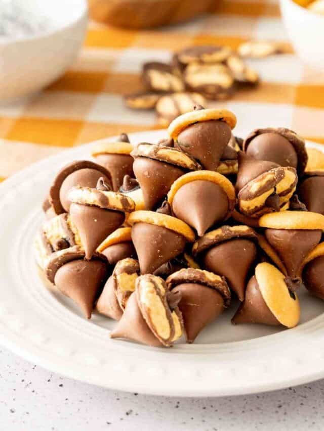 A plate of acorn kisses made with nilla wafers, fudge stripes, mini chocolate chips, and hershey kisses.