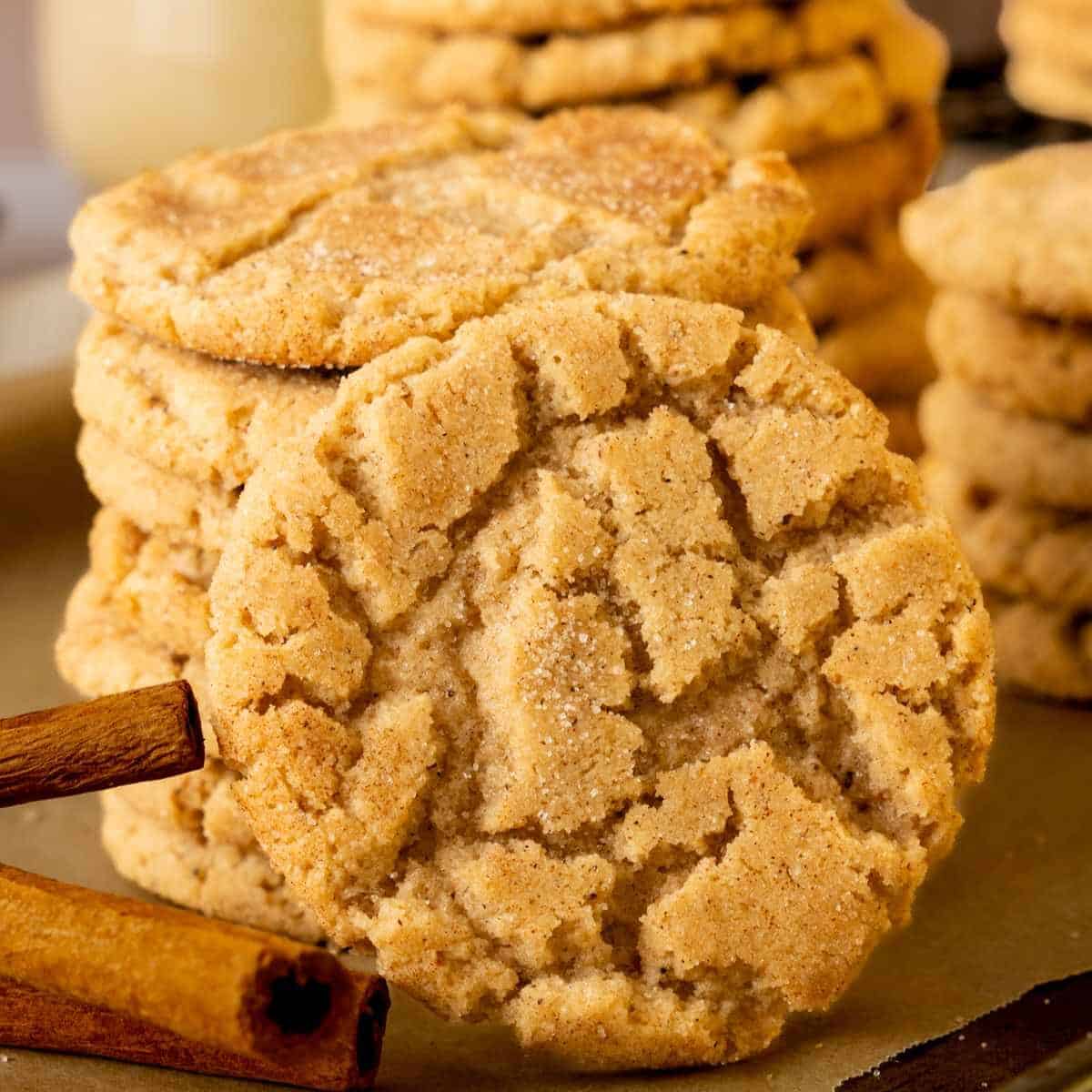 Cinnamon Crinkle Cookies in a stack with a cookie propped in the front of the stack.