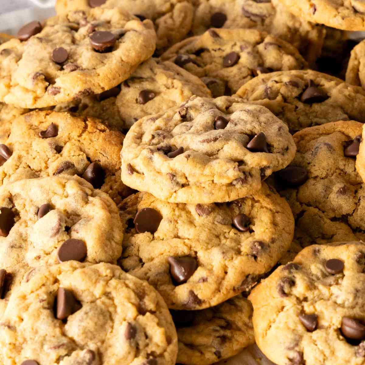Chocolate Chip Cookie Butter Cookies stacked on top of each other with a white background.