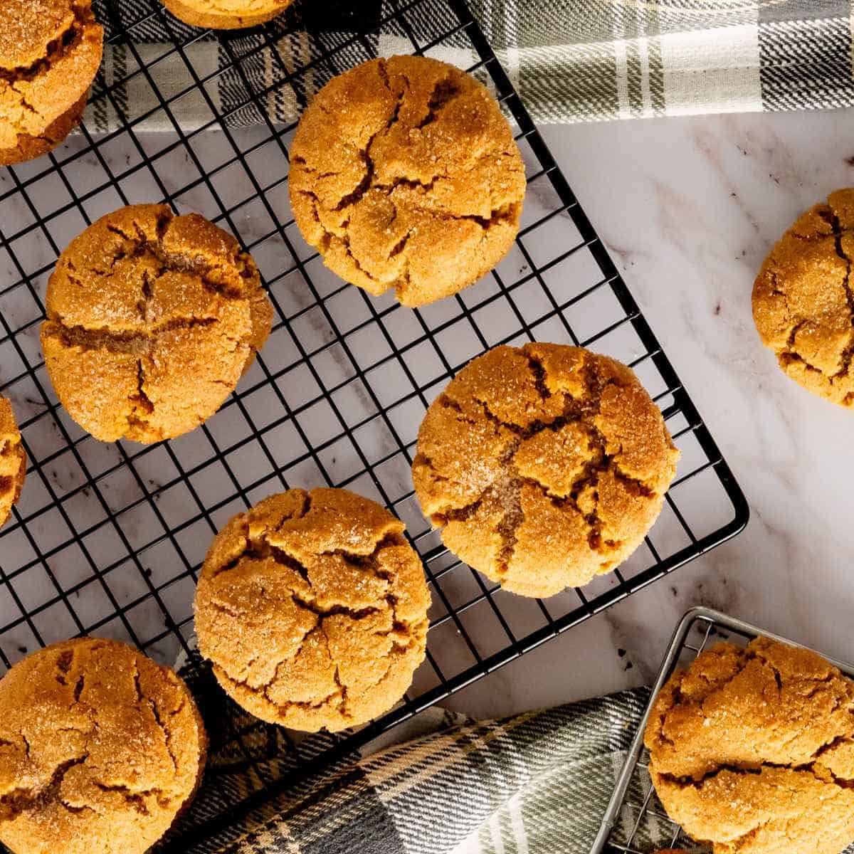A square cooling rack with cooled and stacked gingerdoodles.