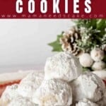 Chocolate Chip Snowball Cookies Pin