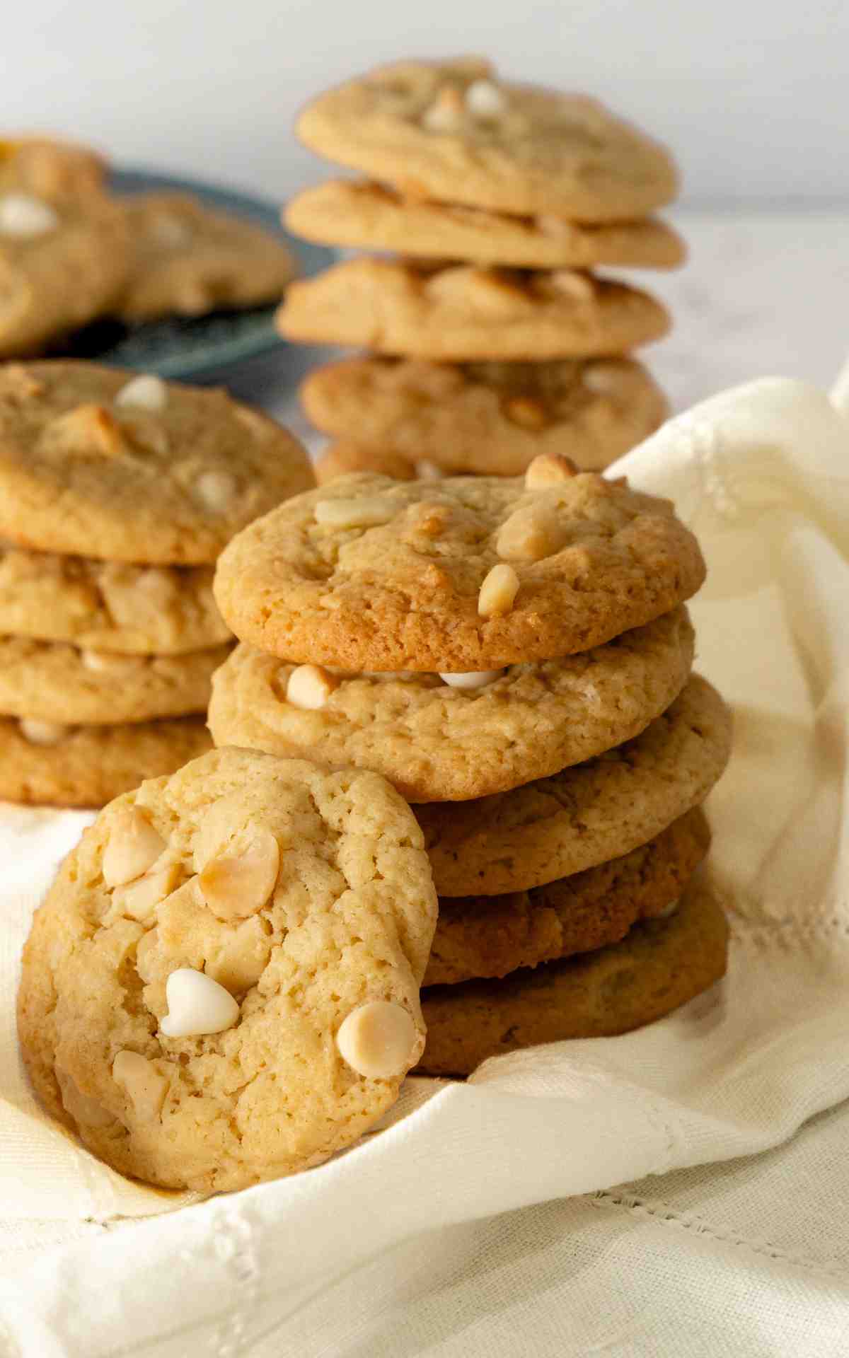 Stacked lemon cookies with macadamia nut cookies.
