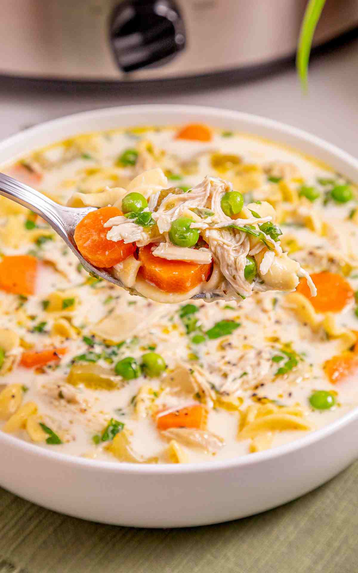A spoonful of chicken noodle soup in a bowl.