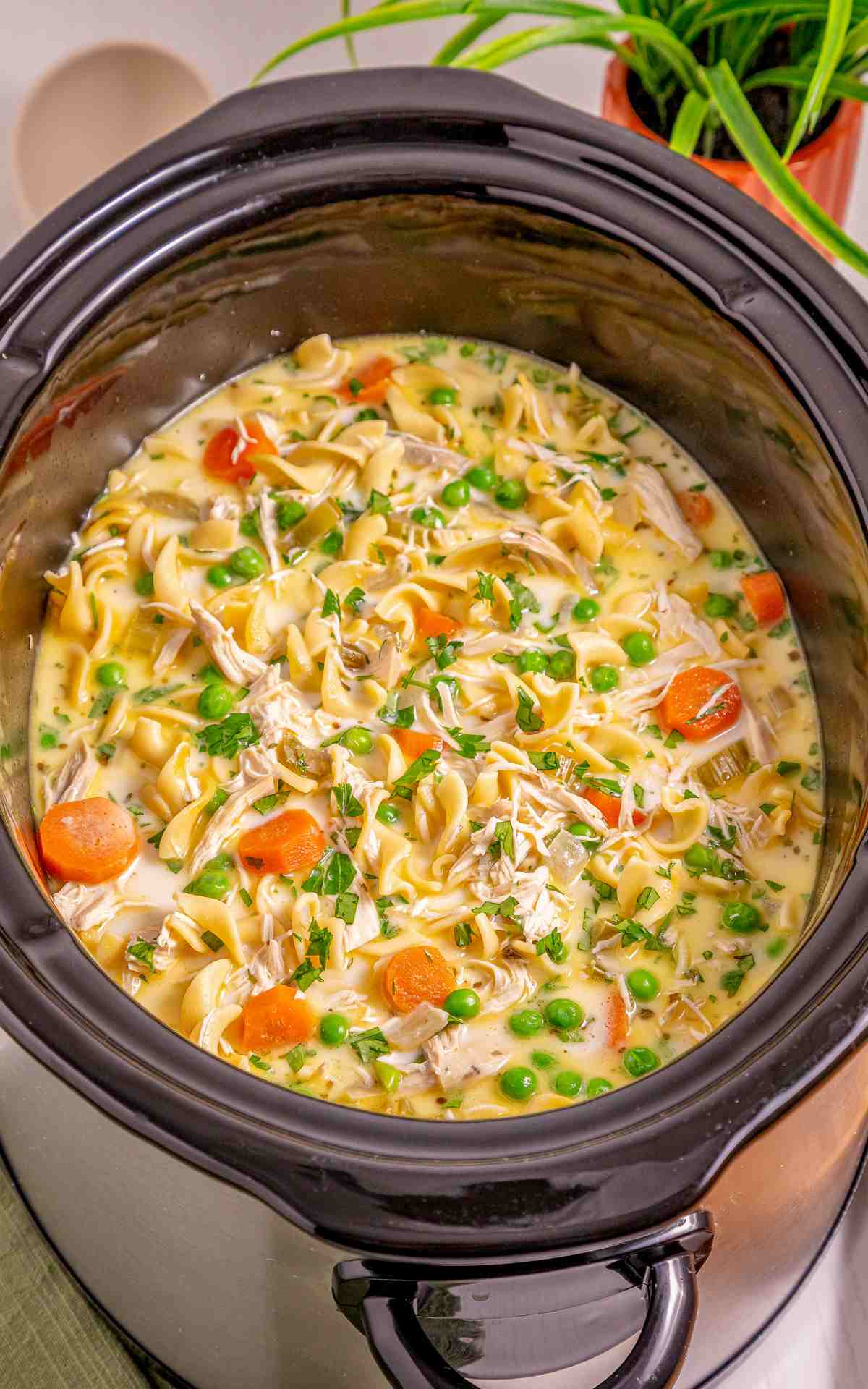 Chicken noodle soup in a creamy broth in the Crockpot.