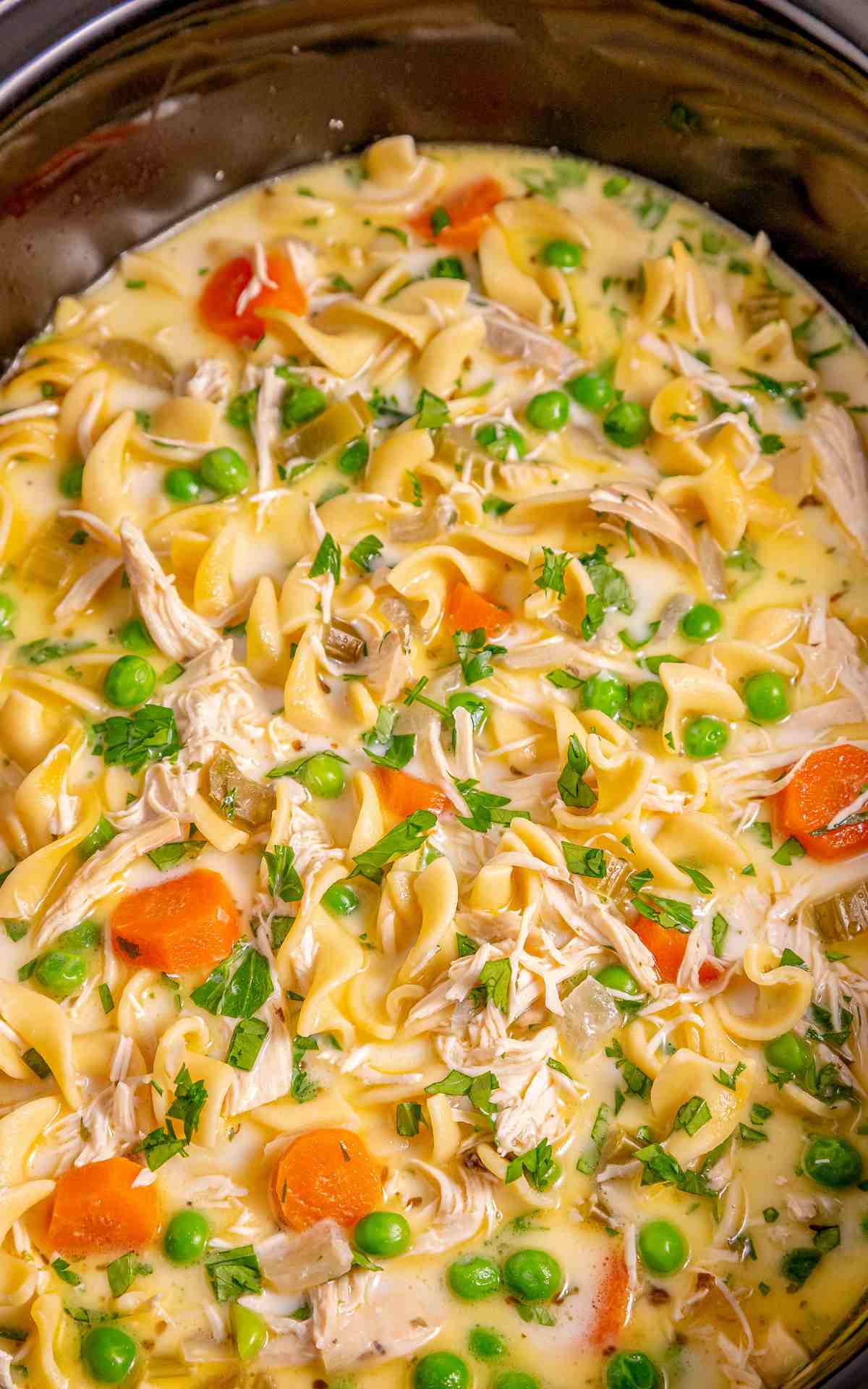 Creamy chicken noodle soup in a Crockpot closeup.