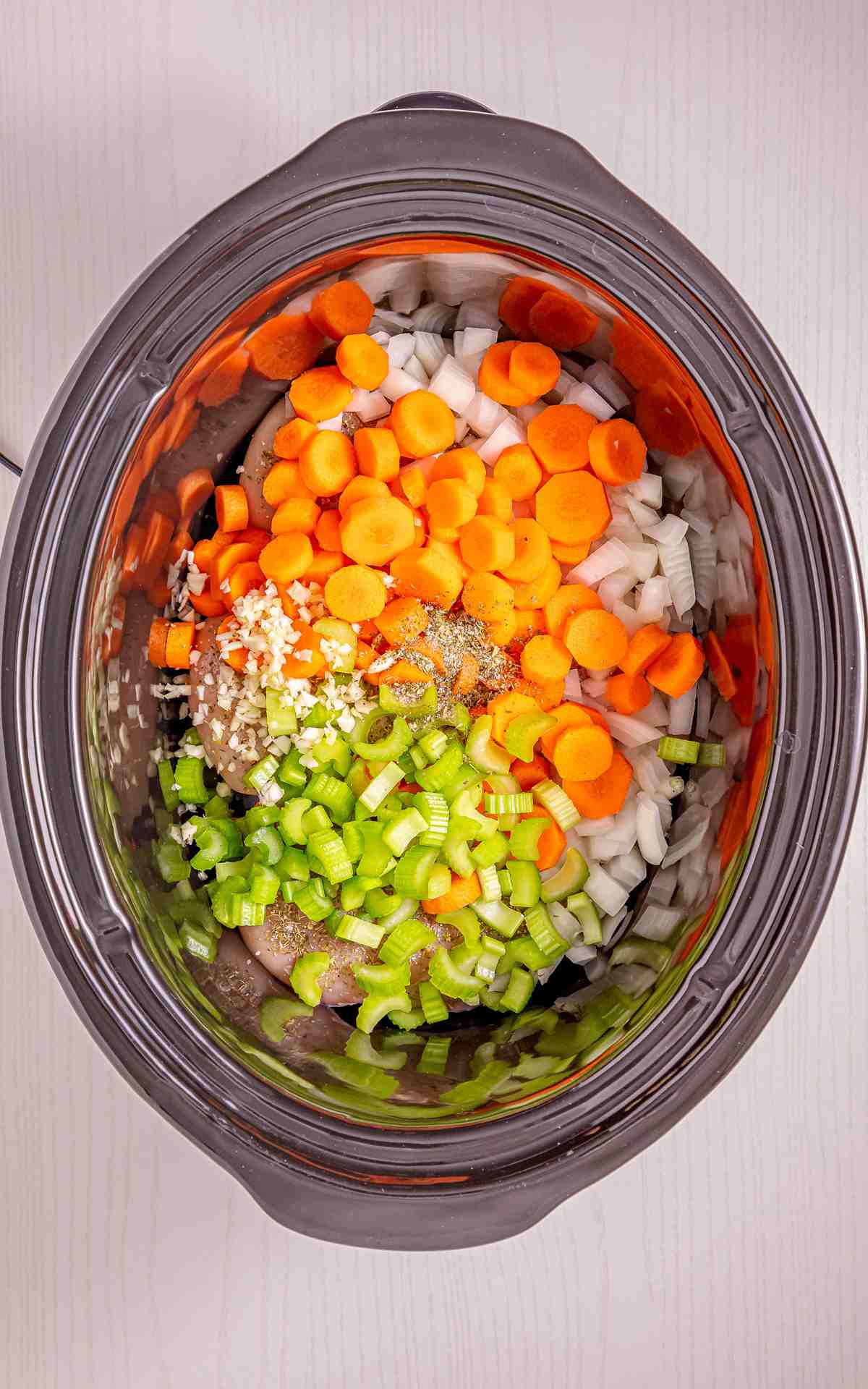 Slow Cooker Chicken Noodle Soup ingredients in a Crockpot.