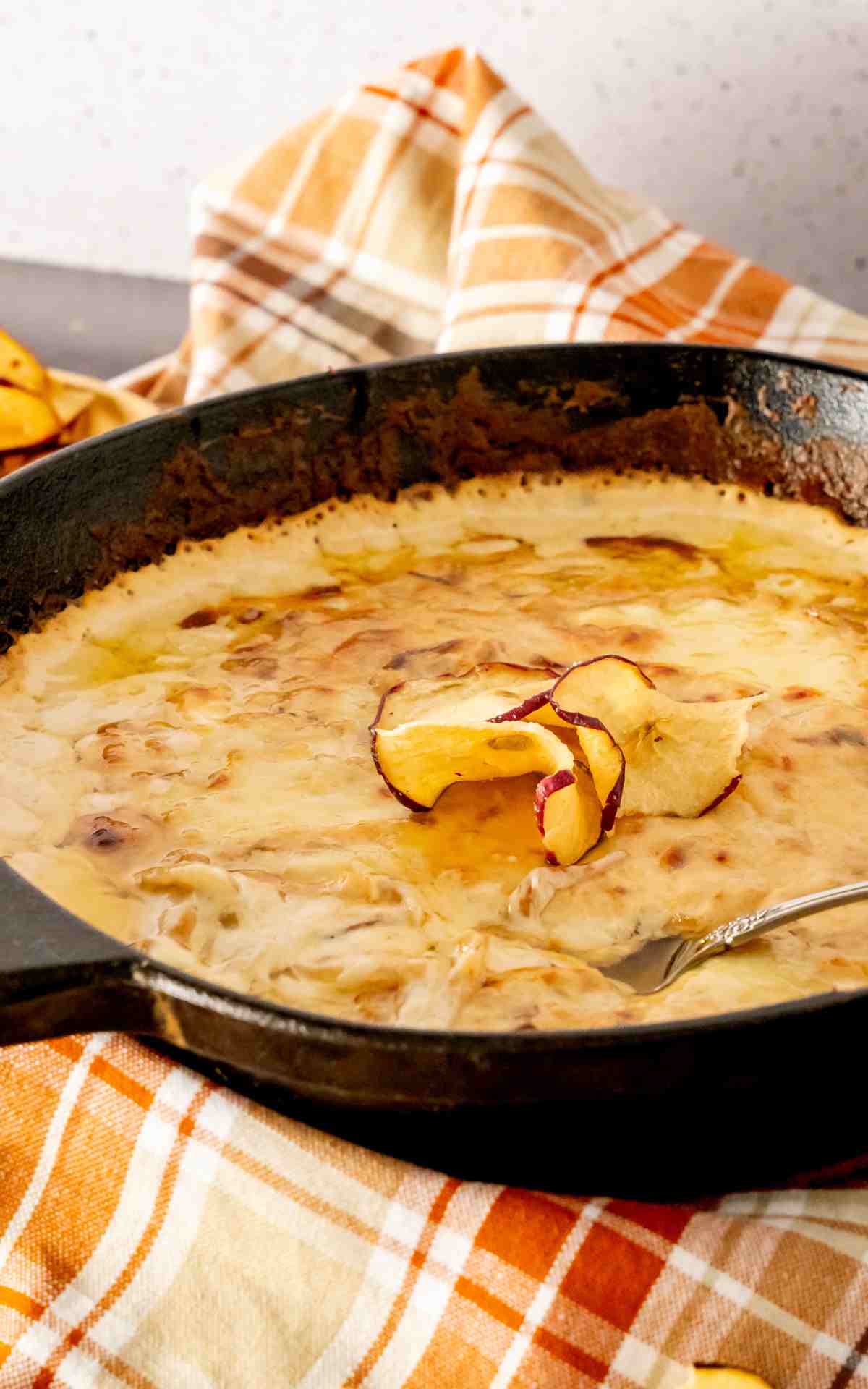 Side view of vidalia onion cheese dip.