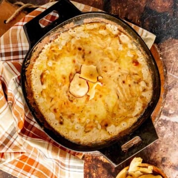 Vidalia Onion Dip with Swiss cheese featured image.