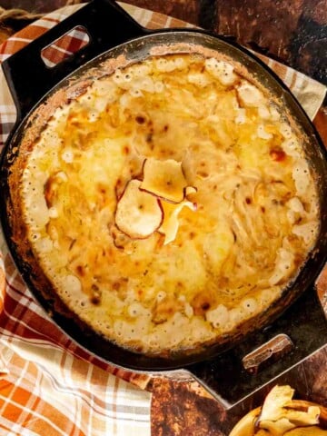 Vidalia Onion Dip with Swiss cheese featured image.