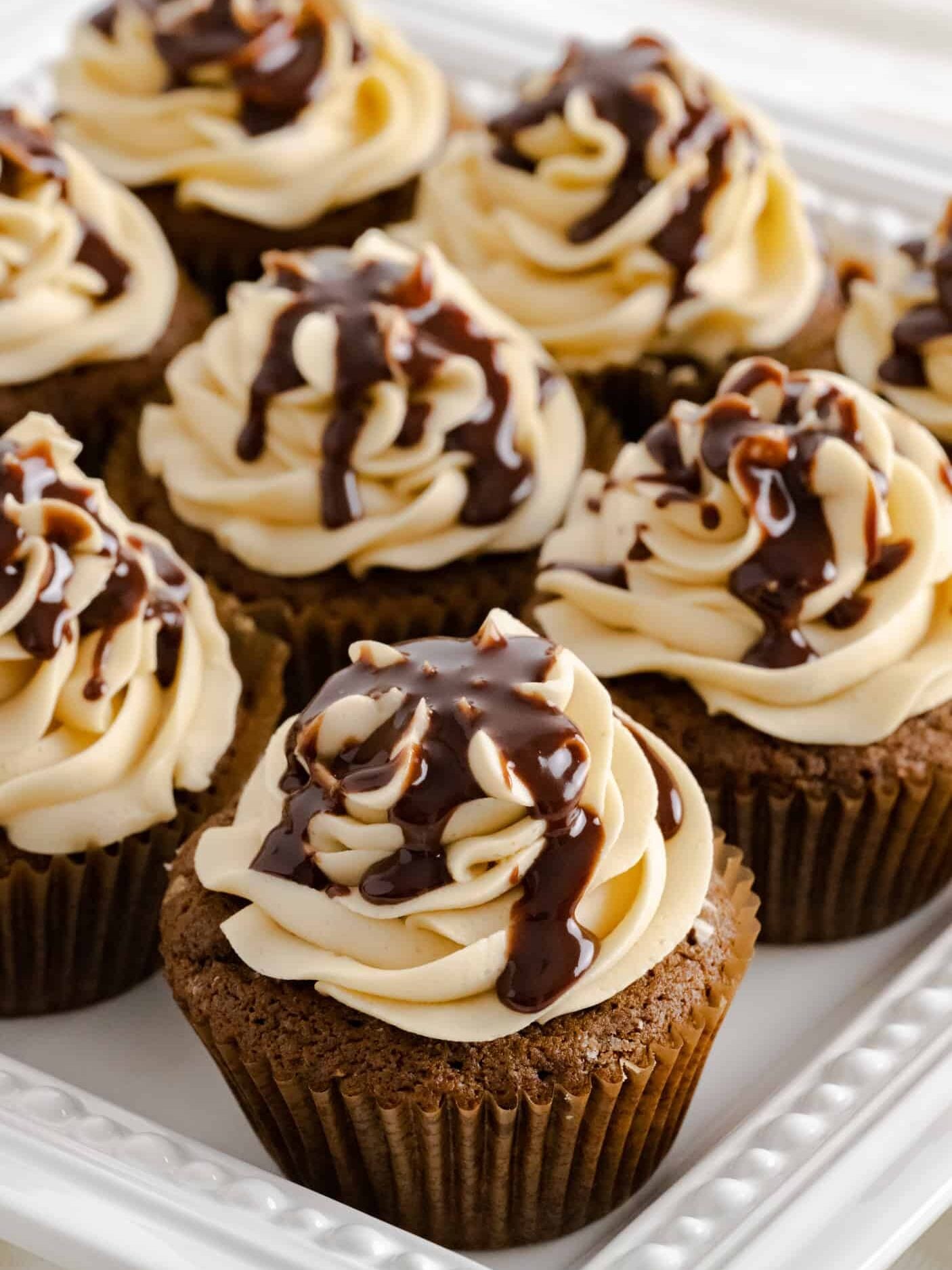Chocolate gingerbread cupcakes on a white decorative serving platter.