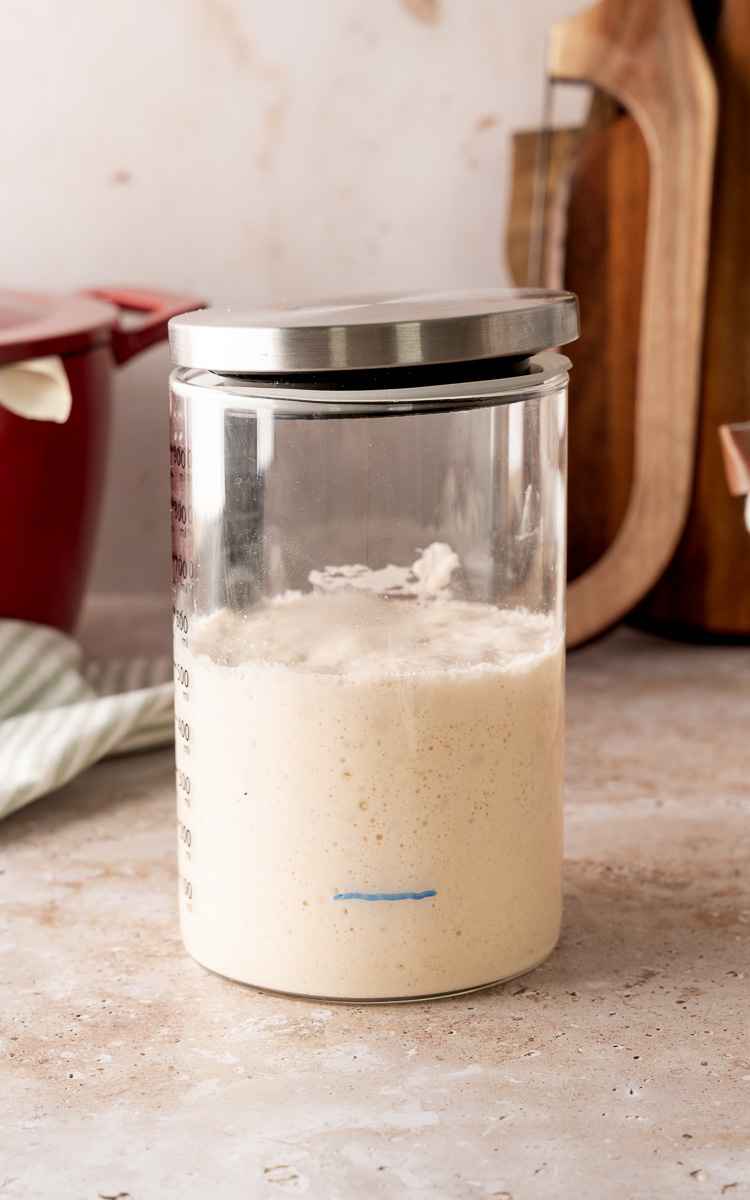 A jar of new sourdough starter that doubled in size.