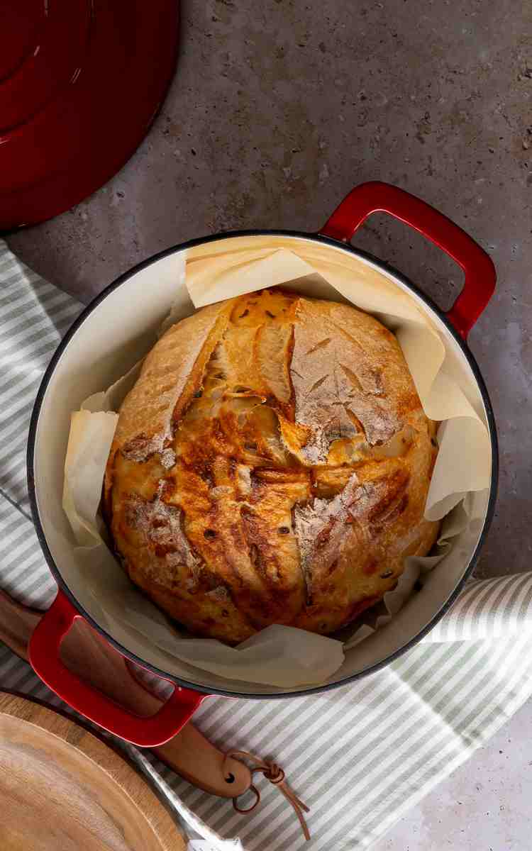 Cheddar Jalapeno Sourdough boule in a Dutch oven.