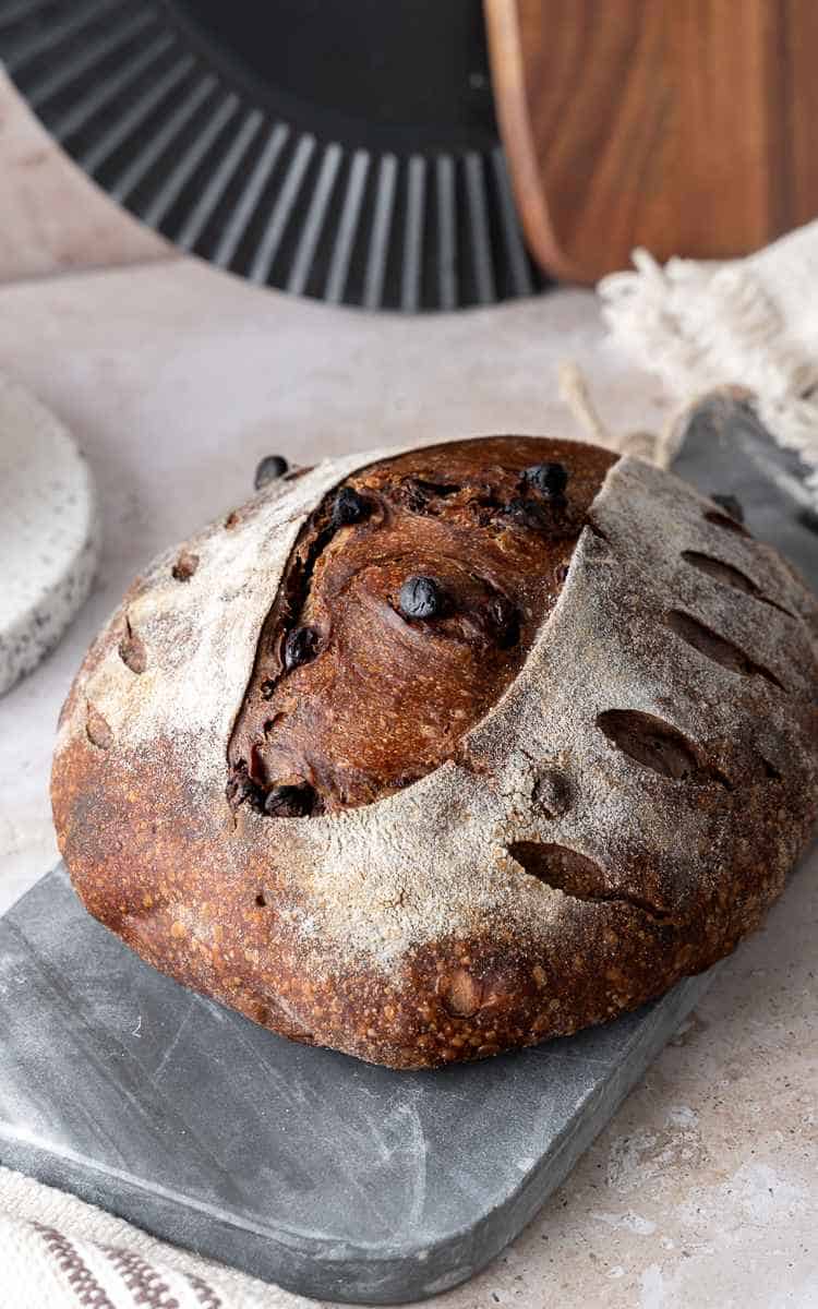 Chocolate Sourdough Bread shaped into a batard and topped with baked chocolate chips.