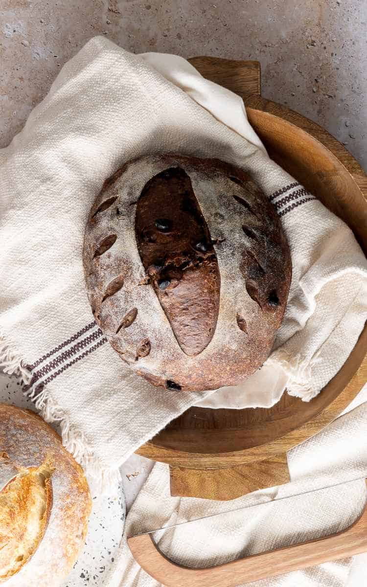 Chocolate Sourdough and beginner sourdough peeking into image.