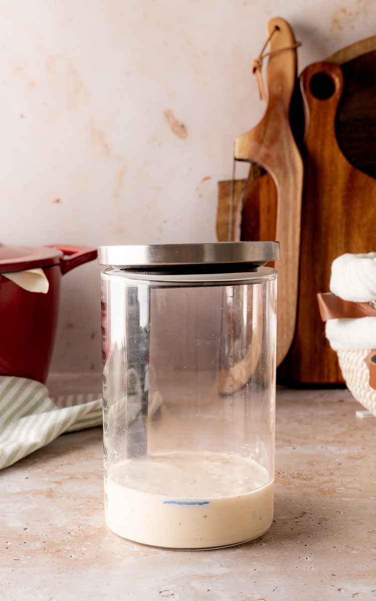 Newly fed sourdough starter for beginners in a jar.