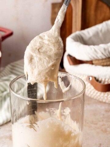 Sourdough starter featured image.