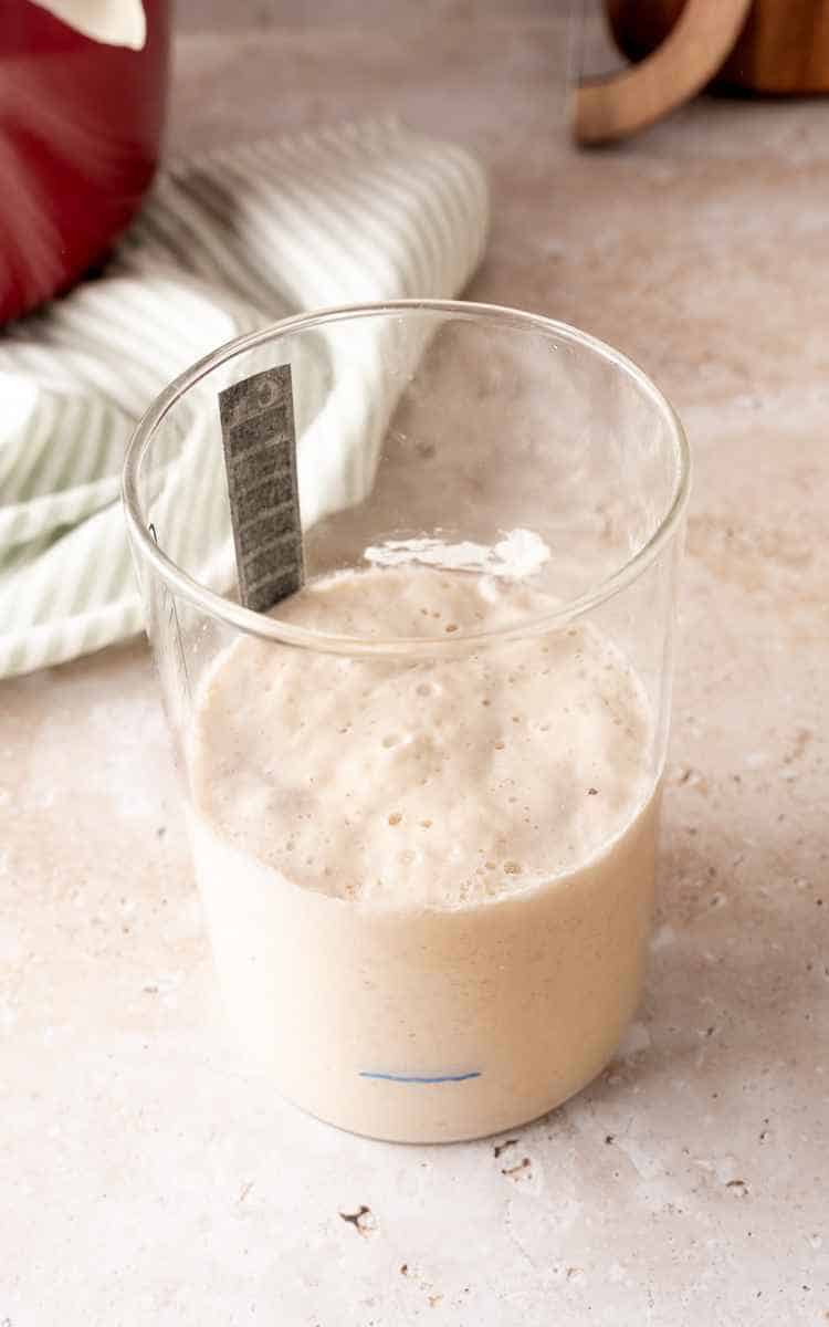 Top view of bubbly sourdough starter in a jar with lots of bubbles.